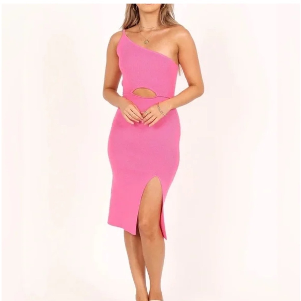 Pink Petal and Pup Dress